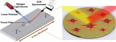 Disposable Polymeric Nanostructured Plasmonic Biosensors for Cell Culture Adhesion Monitoring